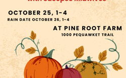 Image for Pumpkin Carving